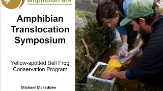 Yellow-spotted Bell Frog conservation program