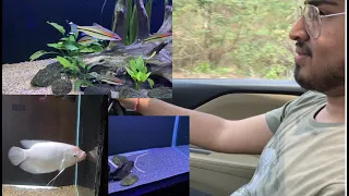 fish aquarium/CR vlogs/day-3