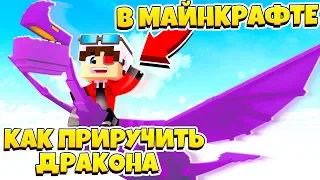 КАК ПРИРУЧИТЬ ДРАКОНА В МАЙНКРАФТЕ? How to Train Your Dragon in Minecraft