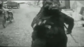 Haruo Nakajima having fun in the Godzilla suit! (read desc)