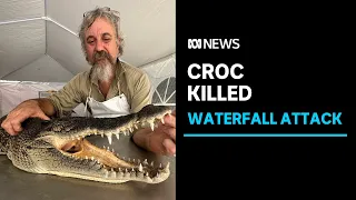 Crocodile shot and killed after man hospitalised in attack | ABC News