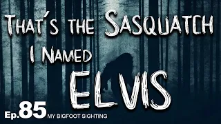 That’s the Sasquatch I Named Elvis - My Bigfoot Sighting Episode 85