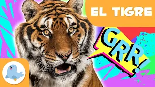 El tigre 🐯 Animales para niños 🌲 Episodio 12