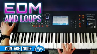 EDM & LOOPS (over 800 presets) | YAMAHA MONTAGE M MODX PLUS | LIBRARY