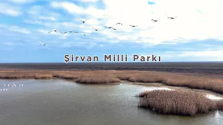 Şirvan Milli Parkı