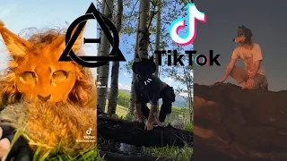 Therian and Quadrobics TikToks || Compilation 🐾🍂 || Alterhumans of TikTok #13