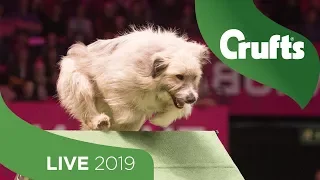 Crufts 2019 Day 2 - Part 2 LIVE