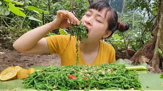 Make $0 Salad In Forest - Cooking Girl #45