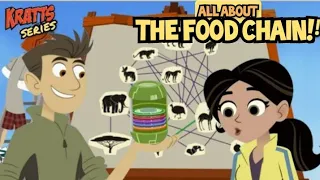 wild Kratts - the chain food game - full episode - Kratts series - HD - science - #krattsseries