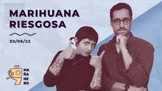 MARIHUANA RIESGOSA / MAÑANERO EL MATINAL