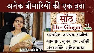 Ayurvedic Benefits of Dry Ginger || अनेक बीमारियों की एक दवा - सोंठ || सोंठ के अनगिनत फायदे ||