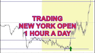DAY TRADING NEW YORK OPEN 1 HOUR A DAY