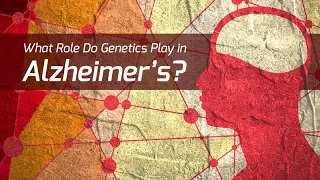 What Role Do Genetics Play in Alzheimer’s? - On Our Mind