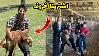 اشترينا خروف 🐏 _ وراح نصبغ الباص مالتنا وردي 🚐_ الريف الاوكراني | مصطفى ستار