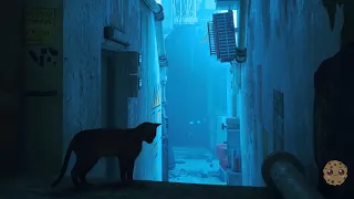 Stray Cat Lost In A Robot City