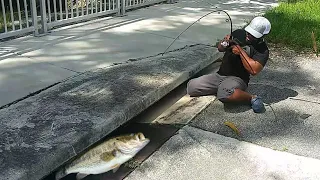 SEWER FISHING for GIANT Fish!