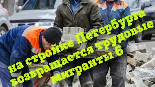 на стройке Петербурга возвращается трудовые мигранты
