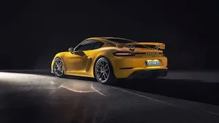 The new Porsche 718 GT4. Perfectly irrational.