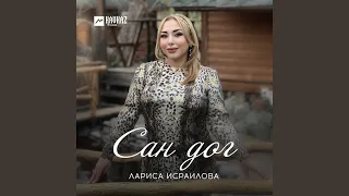 Сан дог