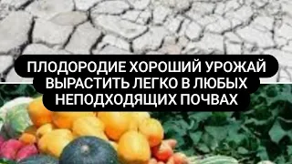 Что нужно для хорошего урожая от чего зависит плодородие почвы