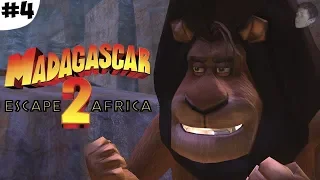 ОБРЯД ИНИЦИАЦИИ АЛЕКСА (Madagascar 2 Game #4)