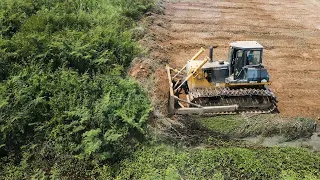 Amazing, Land Clearing Operation Strong Bulldozer  Komatsu Vs Shantui In Action