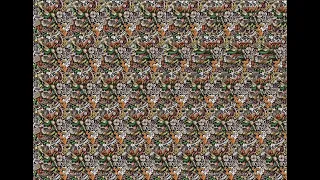 Lost Time Stereogram