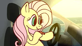 fluttershy is a safe and responsible driver