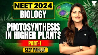 Photosynthesis in Higher Plants | Part 1 | NEET 2024 | Seep Pahuja