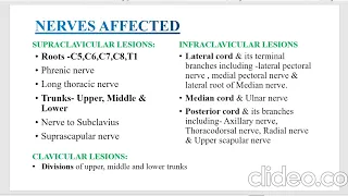 RINKU MEENA | MR Evaluation of Brachial Plexus Injuries #mriteachingcourse