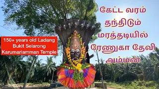 கேட்ட வரம் தந்திடும் ரேணுகா தேவி | Sri Thurgai Devi Karumariamman Temple Ladang Bukit Selarong