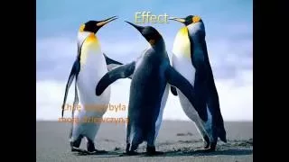 Effect - Chcę żebyś była moją dziewczyną z tekstem