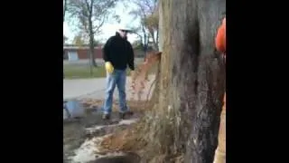 Tree Gushes Water