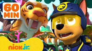 PAW Patrol Daring Jungle Pups Rescues with Animals & More! w/ Chase and Skye 🐯 1 Hour | Nick Jr.