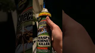 Wasp Hornets nest spray In Action!