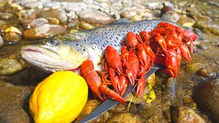 Catch n' Cook BROWN TROUT and River CRAWFISH!