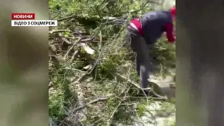 Потужний буревій в Україні: повалені дерева, пошкоджені авто, є травмовані