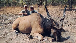 Lord Derby Eland Hunting - The Kings of Cameroon II