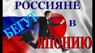 Русский иммигрировал в Японию, на родине нет будущего  — Видео о Японии от Пан Гайджин