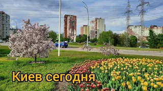 Киев 2024 г всё зазеленело и зацвело. Наша любимая Троещина.