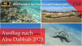 Ausflug nach Marsa Alam zum Strand von Abu Dabbab | Schildkröten suchen |Ägypten 2023 (Vlog #180)