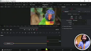 DaVinci Resolve in 10 minuti