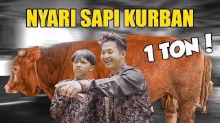 Diwan Nyari Sapi Qurban !! Sapi nya besar banget !!  | Fikrifadlu