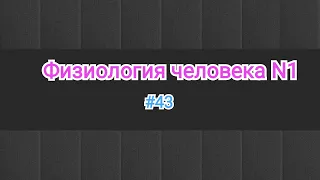 Физиология.Артериальное давление, виды. Способы определение. Регуляция. Базальный тонус. #43