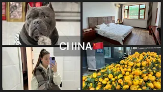 Поехала одна в Китай🇨🇳Хуньчунь|Цены|Гостиница|Часть 1