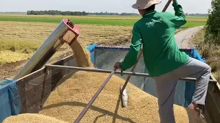 ขนข้าวครับวันนี้ By ทีมงานอนันต์ดันสารพัด