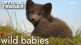 Wild Babies - Trailer Puppies Documentary Series | Netflix