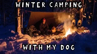 Winter Camping Overnight with My Dog