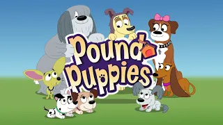 Pound Puppies Season 3 Episode 9 - When Niblet Met Giblet