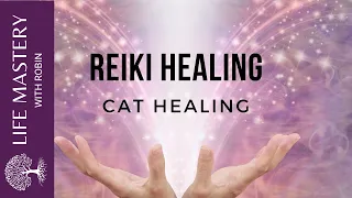 Reiki Healing | Healing Cats with Sound Music